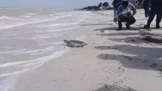 Foto: Julio Jiménez Mendoza