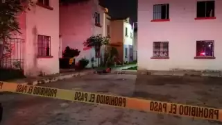 Los vecinos avisaron a la policía Foto: Por Esto! Quintana Roo