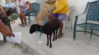 FOTOS: Martín González Canto