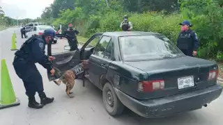 El operativo se inició esta mañana en Chetumal.