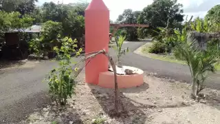 Los viajeros se detienen a tomar fotografías, debido a su colorida decoración