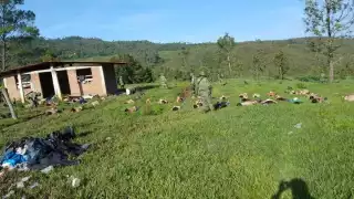 Sedena detienen a 27 personas miembros de un cartel en Ciudad Hidalgo, Michoacán