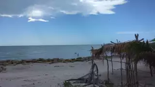 Los bañistas evitan acudir a la playa para prevenir contagios de COVID-19