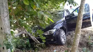 El auto atravesó el carril central y de baja velocidad, se salió de la carretera y se impactó de frente contra un árbol de ramón