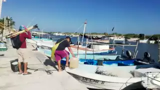 Hasta el momento la mayoría de los hombres de mar han viajado por la poca escama que se encuentra en el litoral Norte