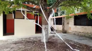 El director de recinto descubrió las manchas en las paredes y los destrozos en las macetas