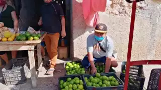 La dura crisis que se está viviendo con el limón ha causado que en municipios de Yucatán se levanten en armas para proteger sus campos