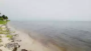 La tonalidad rojiza en la playa de San Crisanto continúa