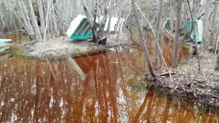 El lugareño precisa que mientras los Frentes Fríos continúen entrando, posiblemente pueda tardar algunos días más el fenómeno natural que generará mayor atracción turística