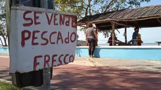 Frentes fríos detienen la pesca en Campeche