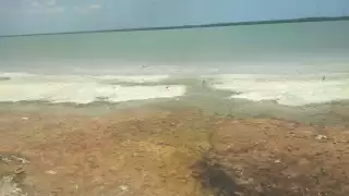 Vecinos de la zona se quejan de los malos olores que provienen del Malecón