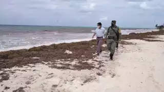 El producto asegurado fue puesto a disposición de la mesa especializada en delitos contra la salud en Playa del Carmen