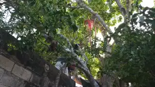 Foto: Francisco Martín