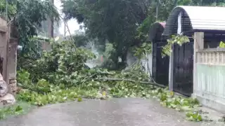 La CFE aseguró que todos los reportes de fallas eléctricas serían atendidos