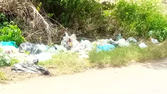 Las carreteras son usadas como tiraderos y esto es un peligro para la comunidad Las carreteras son usadas como tiraderos y esto es un peligro para la comunidad