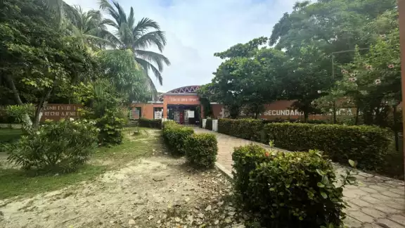 Alumnos de la ETI 26 en Ciudad del Carmen habrían consumido alimentos con marihuana. Alumnos de la ETI 26 en Ciudad del Carmen habrían consumido alimentos con marihuana.