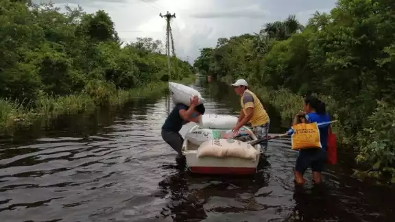 Reciben alimentos para animales en Felipe Carrillo Puerto