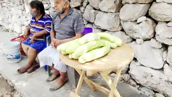 El dinero que la pareja junta lo emplea en cubrir los gastos de su hogar y medicamentos El dinero que la pareja junta lo emplea en cubrir los gastos de su hogar y medicamentos