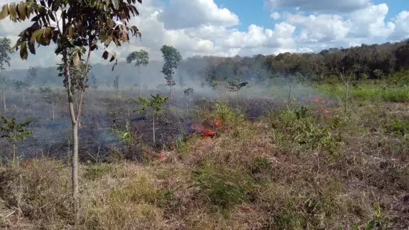 Aún se desconoce la persona que fue afectada por este incendio en Holpechén Aún se desconoce la persona que fue afectada por este incendio en Holpechén
