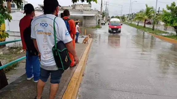 FOTOS: Agustín Ferrer