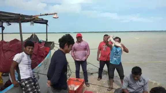 Pescadores tomarán unos días de descanso debido al mal clima que entrará a la entidad Pescadores tomarán unos días de descanso debido al mal clima que entrará a la entidad