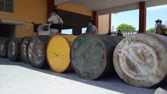 A pesar de la pandemia, el año pinta bien para los apicultores de Campeche A pesar de la pandemia, el año pinta bien para los apicultores de Campeche