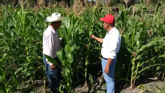 Sobre los alimentos que se producen en el territorio, destaca el maíz, frijol, arroz, chile verde, chihua, limón, caña de azúcar, mango y naranja, entre otras variedades de frutas Sobre los alimentos que se producen en el territorio, destaca el maíz, frijol, arroz, chile verde, chihua, limón, caña de azúcar, mango y naranja, entre otras variedades de frutas