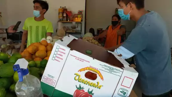 Las colonias Solidaridad y del Bosque en Chetumal, son las que presentan más casos Las colonias Solidaridad y del Bosque en Chetumal, son las que presentan más casos