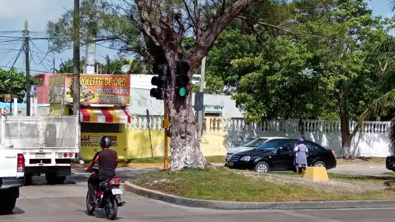 Foto: Agustín Ferrer