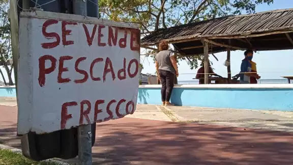 Frentes fríos detienen la pesca en Campeche Frentes fríos detienen la pesca en Campeche