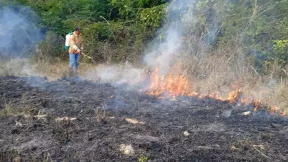 Los cuerpos de emergencia empiezan a ser rebasados por los conatos de incendios Los cuerpos de emergencia empiezan a ser rebasados por los conatos de incendios