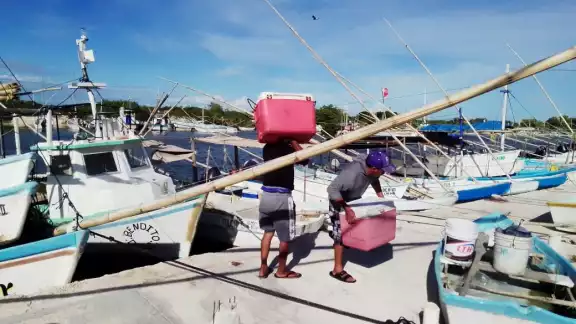 El aumento de precio de la carnada ha impedido que se queden mayor tiempo en las brasas, ya que la mayoría de la trampa no sirve, y sin ella, no pueden trabajar El aumento de precio de la carnada ha impedido que se queden mayor tiempo en las brasas, ya que la mayoría de la trampa no sirve, y sin ella, no pueden trabajar