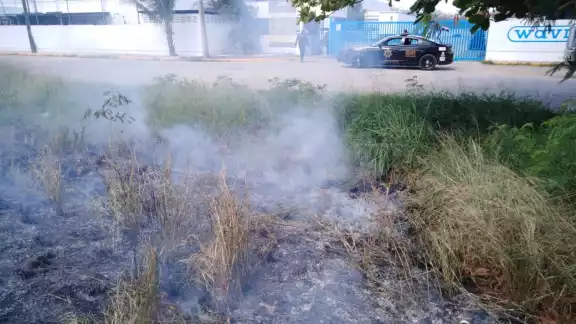 Según se pudo constatar, el origen del incidente fue por una colilla de cigarro que fue arrojada desde un vehículo en movimiento Según se pudo constatar, el origen del incidente fue por una colilla de cigarro que fue arrojada desde un vehículo en movimiento