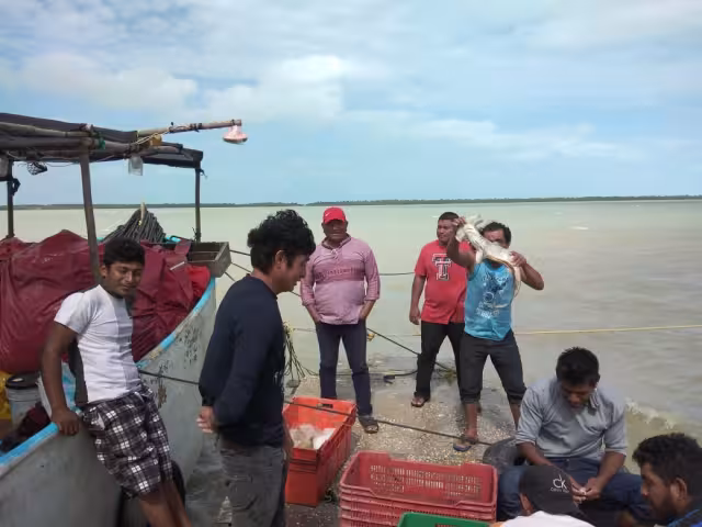 Pescadores tomarán unos días de descanso debido al mal clima que entrará a la entidad