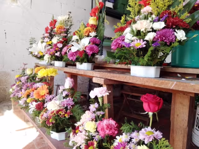 Los malos resultados en Día de Muertos y la Guadalupana no auguran ganancias