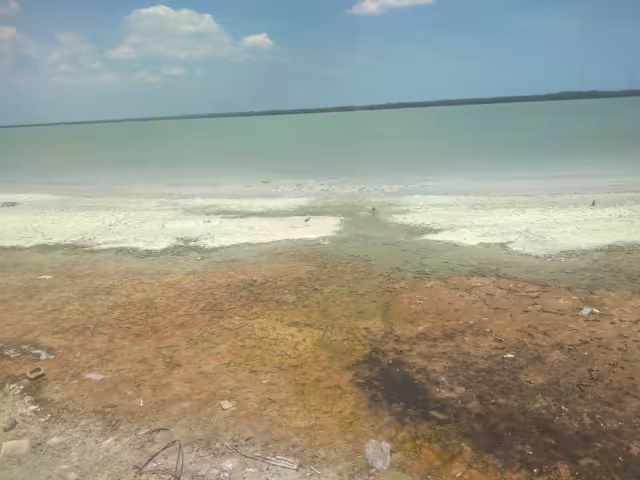 Vecinos de la zona se quejan de los malos olores que provienen del Malecón