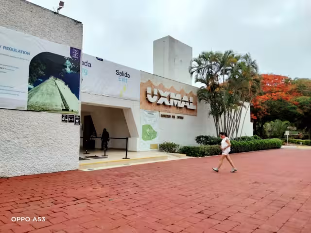 Pese a la reapertura se reporta una baja presencia de turistas