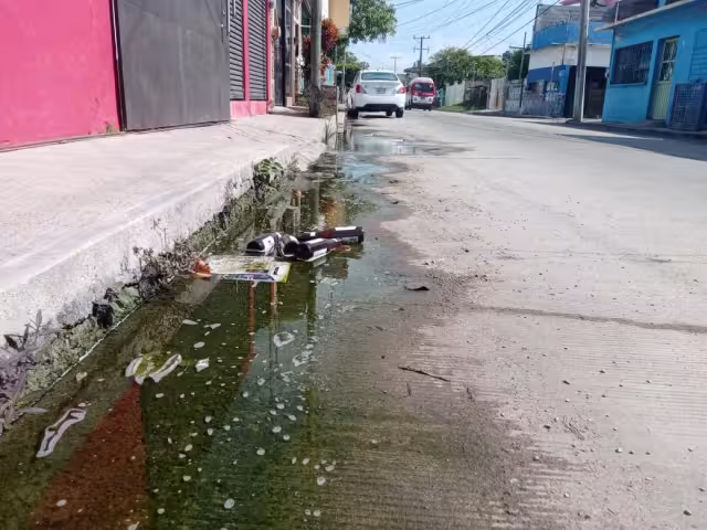 FOTOS: Agustín Ferrer