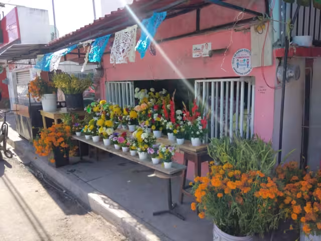 El precio subirá un 5 por ciento, pero se buscará tener arreglos para todos los bolsillos