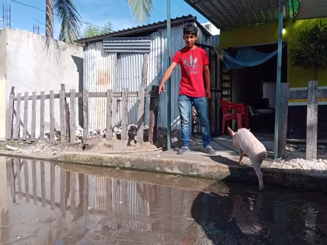 FOTO: Agustín Ferrer