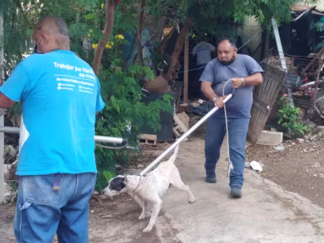 Foto: Fernando Poo Hurtado