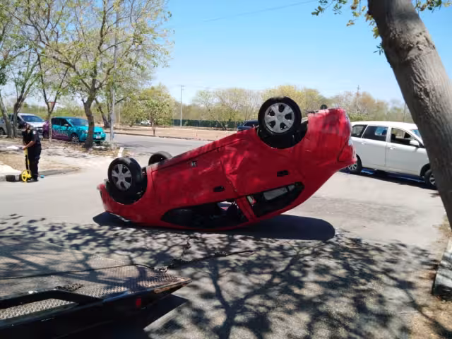 La Policía Estatal tomó conocimiento del hecho