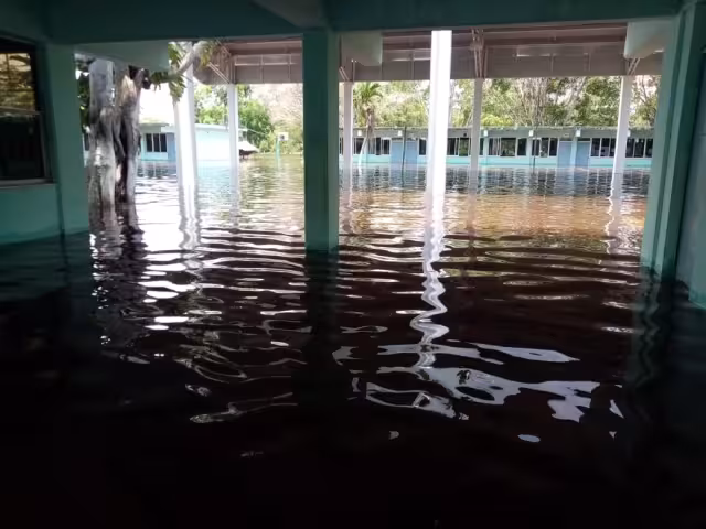 FOTOS: Luis Enrique Tuz