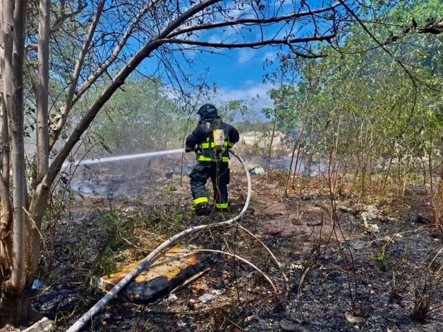 Fuego consume una hectárea de vegetación