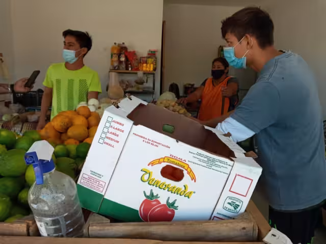 Las colonias Solidaridad y del Bosque en Chetumal, son las que presentan más casos