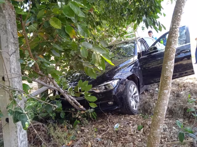 El auto atravesó el carril central y de baja velocidad, se salió de la carretera y se impactó de frente contra un árbol de ramón