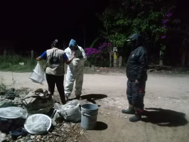Ante la agresividad de las abejas, varios trabajadores resultaron con múltiples picaduras en diversas partes del cuerpo