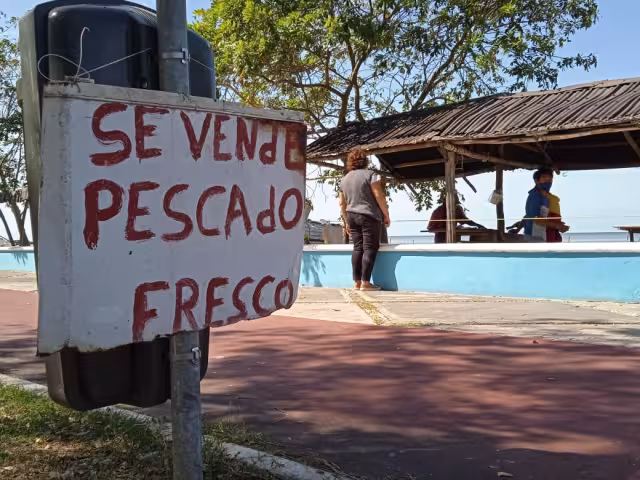 Frentes fríos detienen la pesca en Campeche