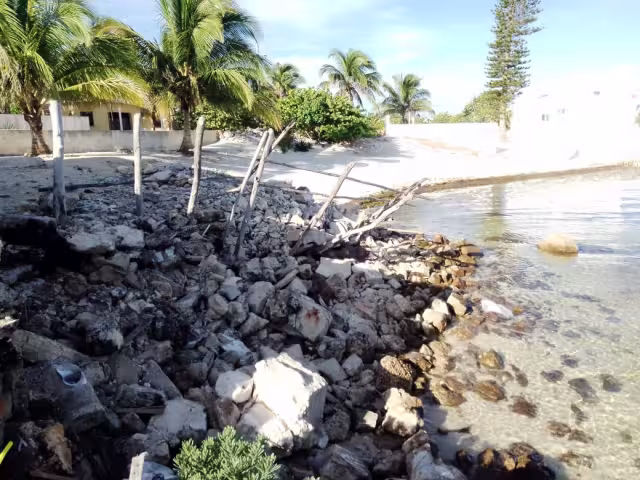 Vacacionistas y locales se instalan en palapas particulares o acuden a otra zona de la costa