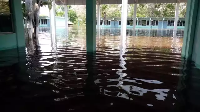 FOTOS: Luis Enrique Tuz